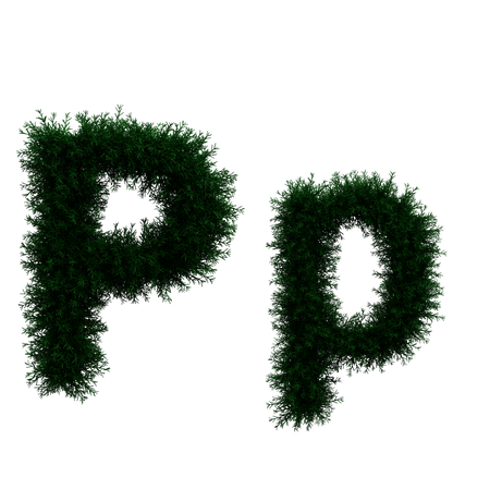 P  3D Icon