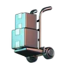 Package Delivery with Trolley