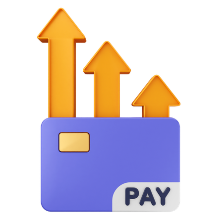Paiement par carte de crédit  3D Icon