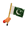 Pakistan Flag