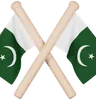 Pakistan Flag