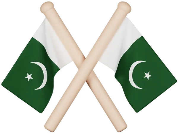 Pakistanische Flagge  3D Icon