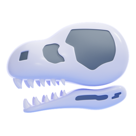 Paleontología  3D Icon