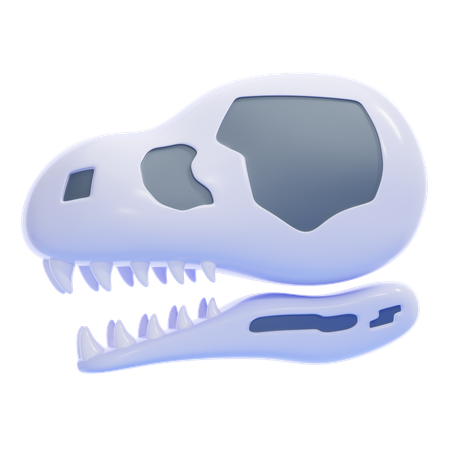 Paleontology  3D Icon