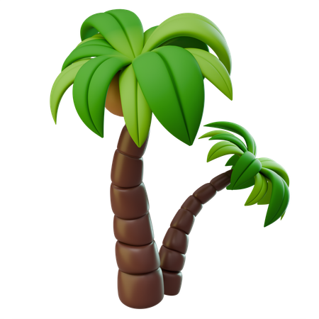 Palm  3D Icon