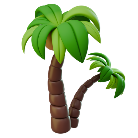 Palm  3D Icon