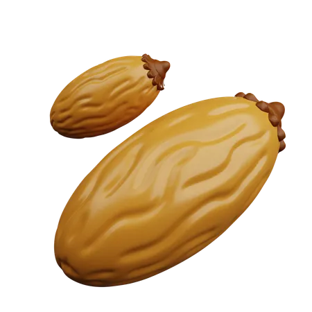 야자 열매  3D Icon