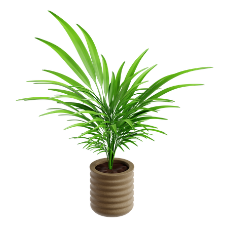 Palm Leaf  3D Icon