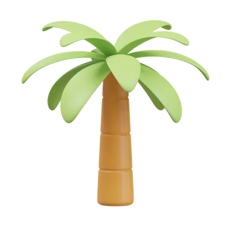 Tropical Palm Tree 3 D Illustration 3D Icon