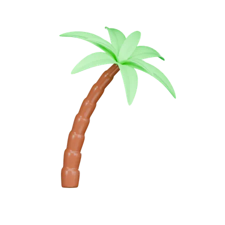 Palm Tree 3 D Icon 3D Icon