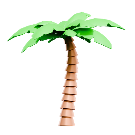 Palm Tree  3D Icon