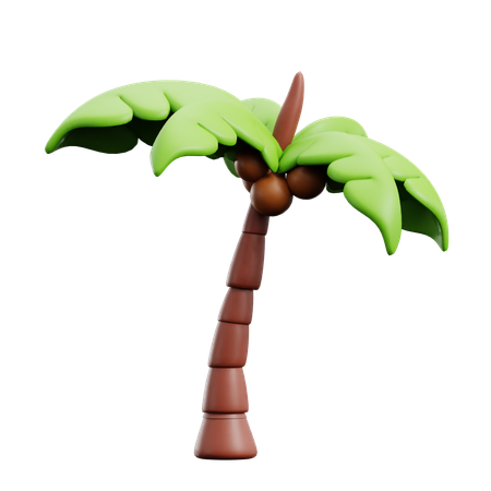 Palm Tree  3D Icon