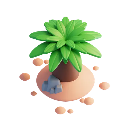 Palm tree  3D Icon