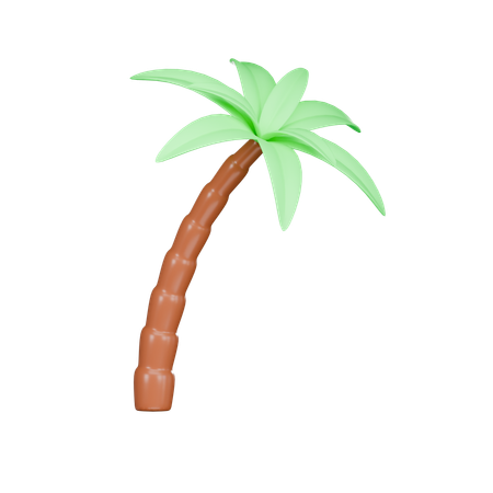 Palm Tree  3D Icon