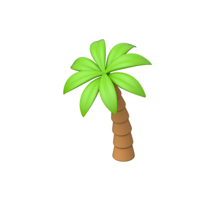 Palm Tree  3D Icon