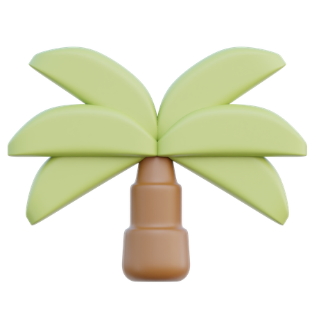 Palm Tree  3D Icon