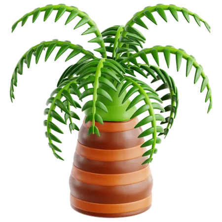 Palm Tree  3D Icon
