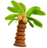 Palm Tree