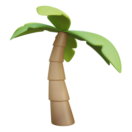 Palm Tree  3D Icon