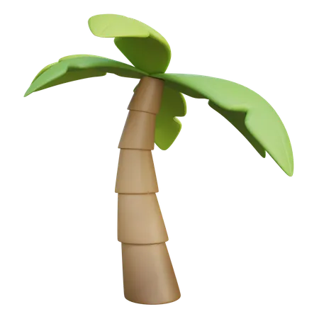 Palm Tree  3D Icon