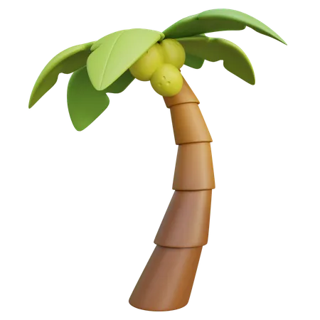 Palm Tree  3D Icon