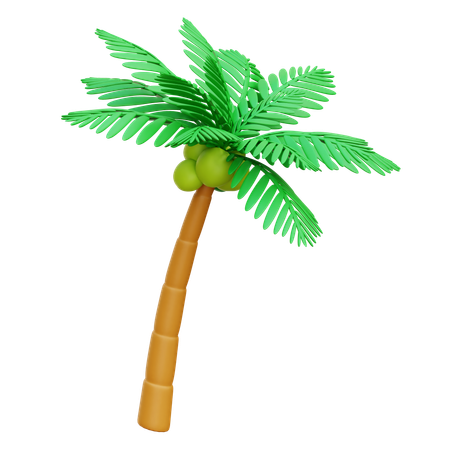 Palm Tree  3D Icon