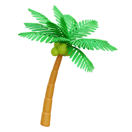 Palm Tree  3D Icon