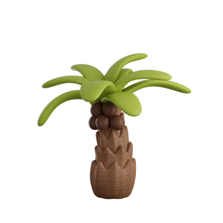 Palm Tree  3D Icon