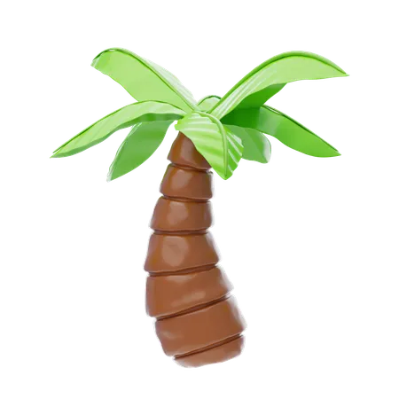 Palm Tree  3D Icon