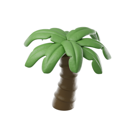 Palm Tree  3D Icon