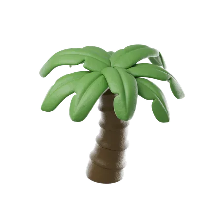 Palm Tree  3D Icon