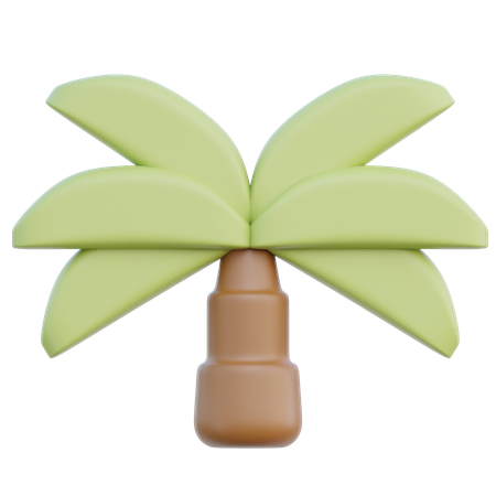 Palm Tree  3D Icon