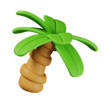 Palm Tree  3D Icon