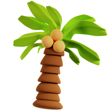 Palm Tree  3D Icon