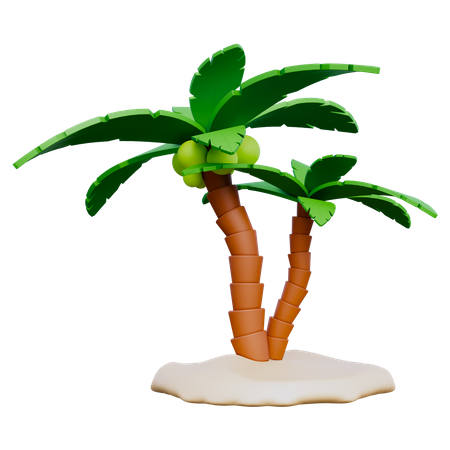 Palm Tree  3D Icon