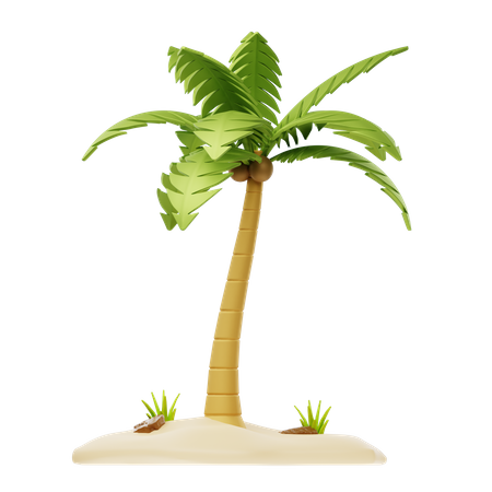 Palm Tree  3D Icon