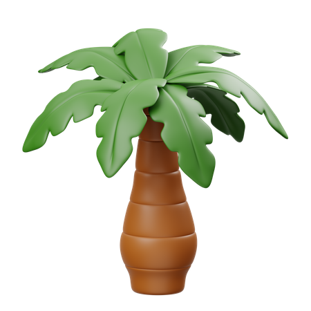 Palm Tree  3D Icon