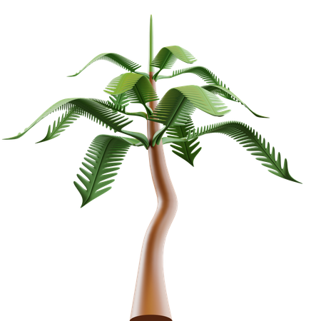Palm Tree  3D Icon