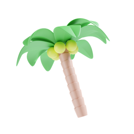 Palm Tree  3D Icon
