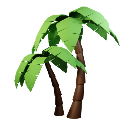 Palm Tree  3D Illustration