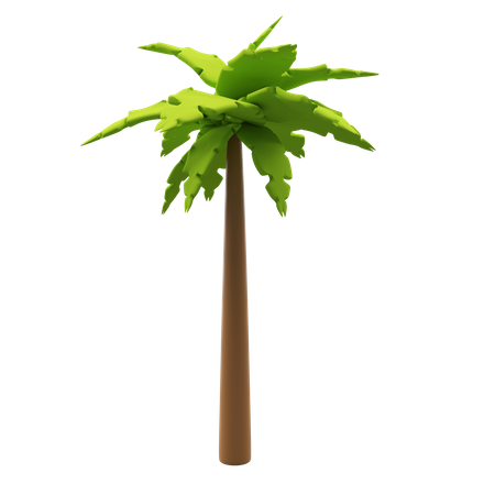 Palm Tree  3D Illustration