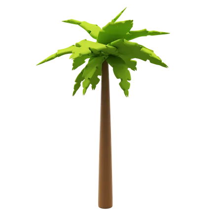 Palm Tree  3D Illustration