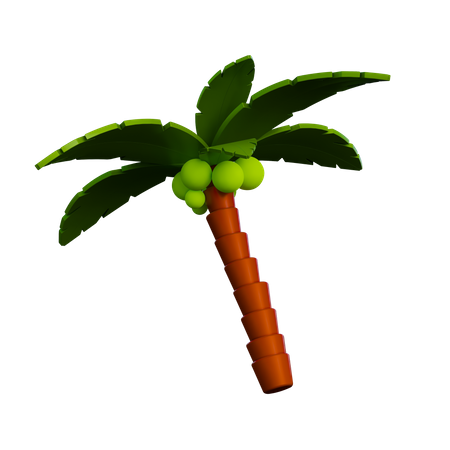 Palm Tree  3D Illustration