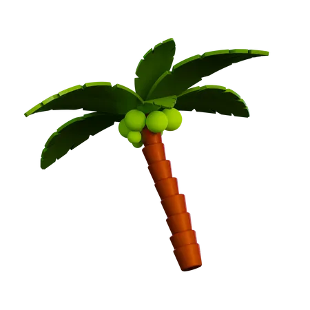 Palm Tree  3D Illustration