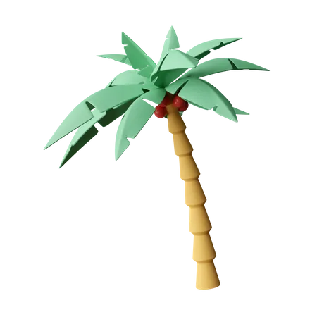 Premium Coconut Tree 3D Illustration download in PNG, OBJ or Blend format