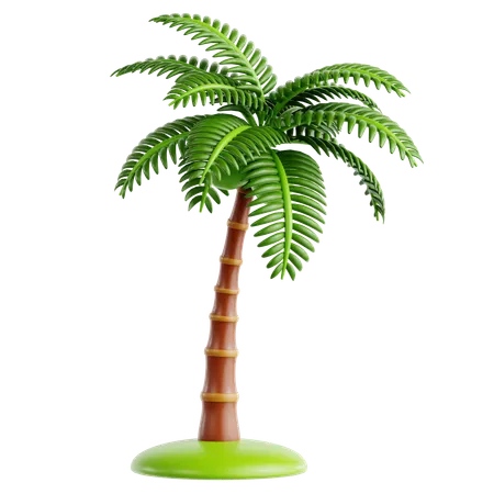 Palmera de cocos  3D Icon