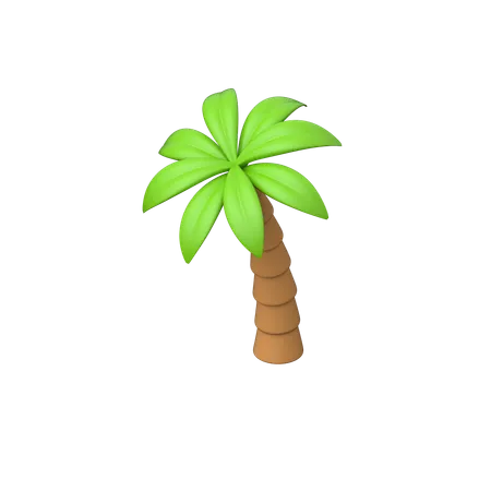 Palme  3D Icon