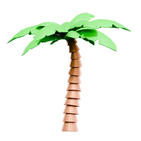 Palme  3D Icon