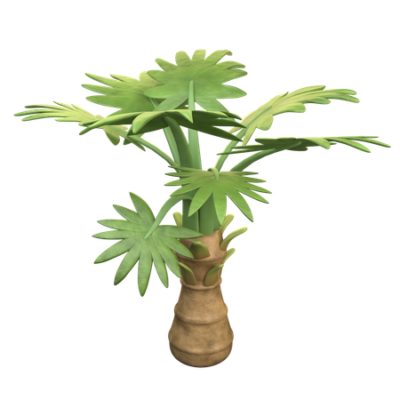 Palme  3D Icon