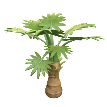 Palme  3D Icon